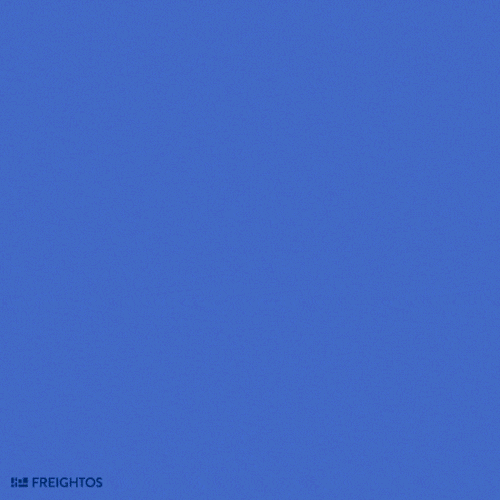 Cartoon seagulls cause chaos on a fully loaded cargo ship floating in the ocean. The phrase "Ship Happens" appears as birds continue their mischief.